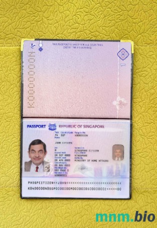 Singapur nowy paszport (2017+) wygląd zdjęcia pliki PSD, skan i fotografowany obraz